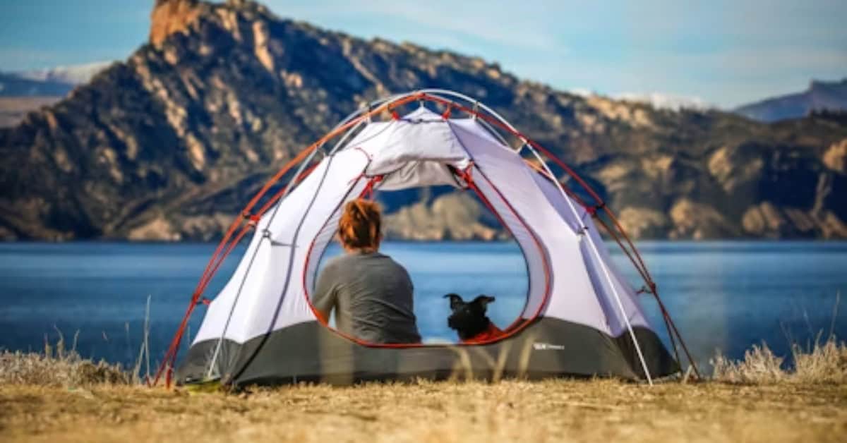 Camping de Wildernis: Een Unieke Buitenavontuur